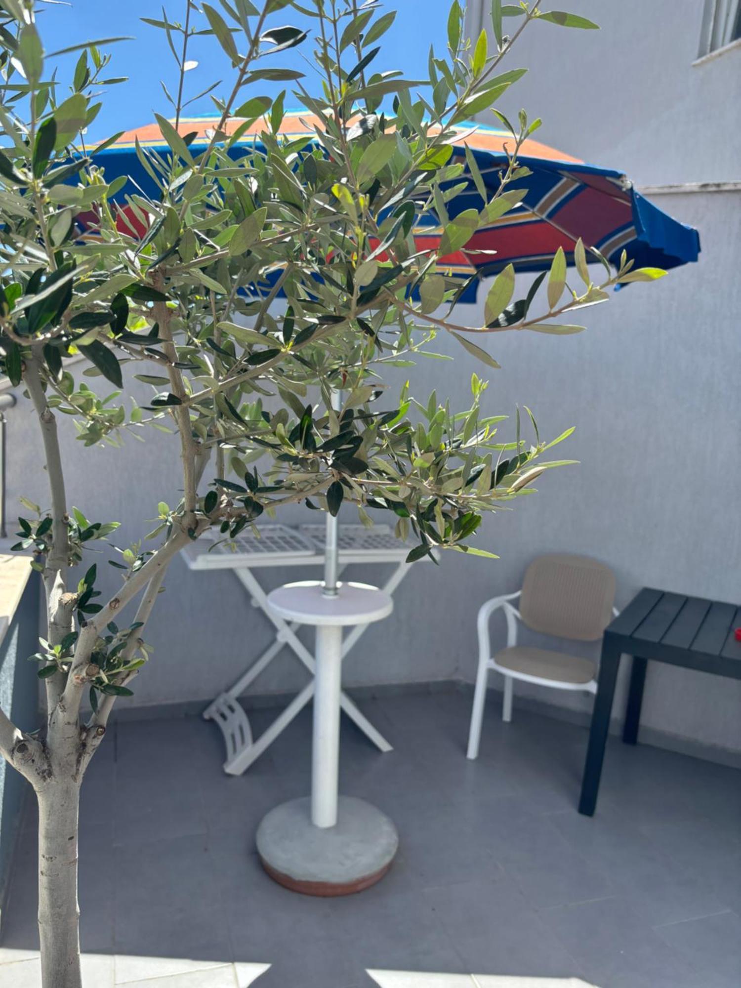 Apartament Kris In Durres Plazh المظهر الخارجي الصورة